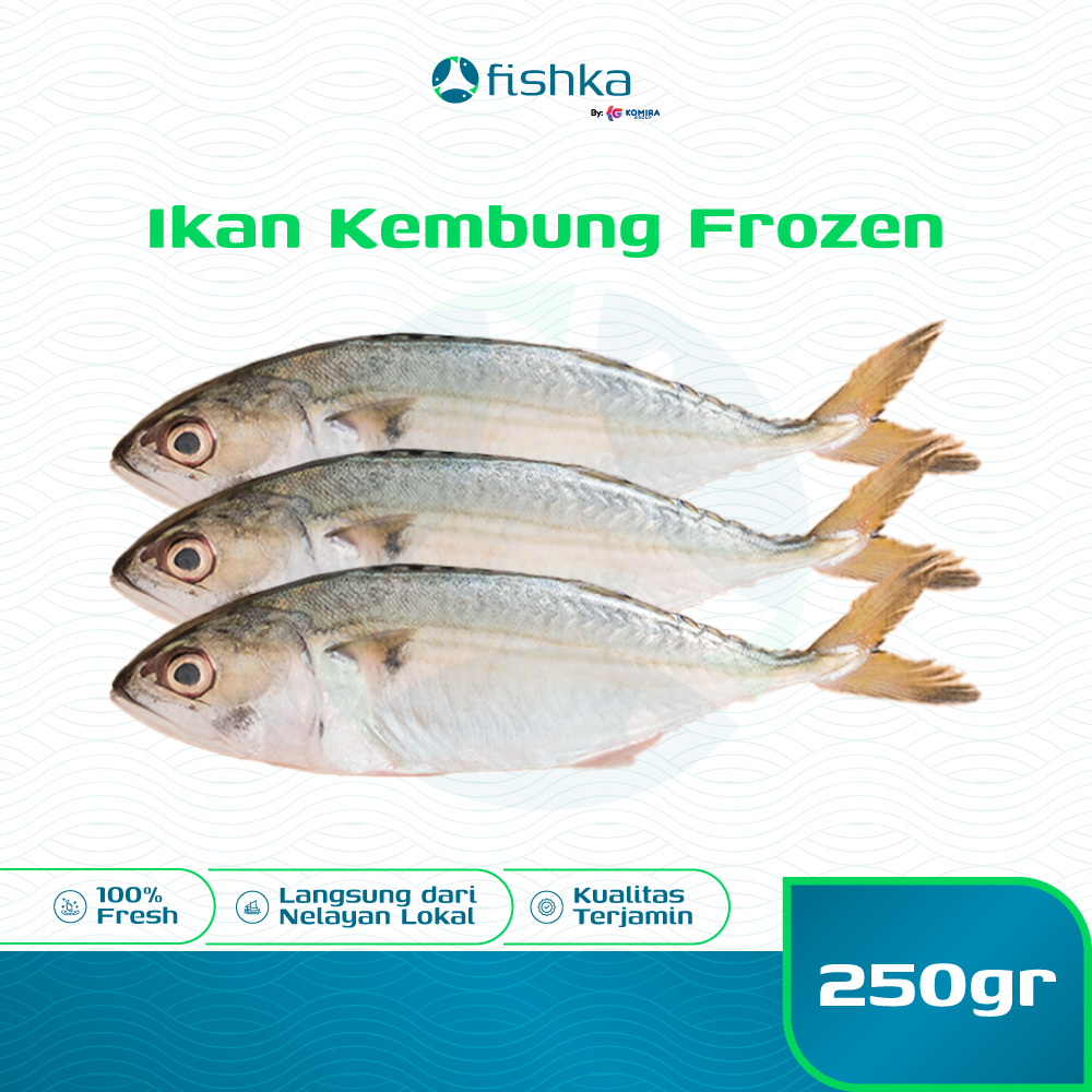 Ikan Kembung Frozen