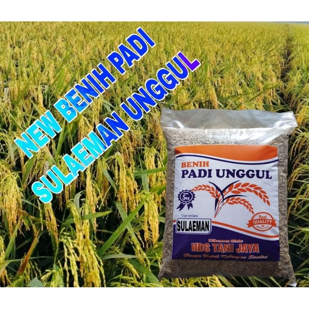5KG BENIH PADI UNGGUL SULAEMAN SUPER LABEL PUTIH