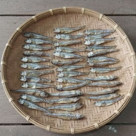 ikan teri tawar nol garam bersih gurih 500gr