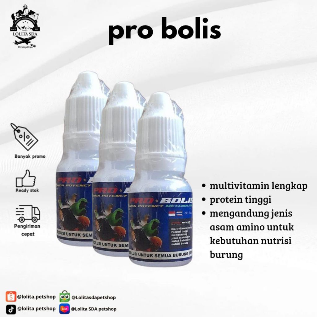 Pro Bolis High Metabolisme Burung