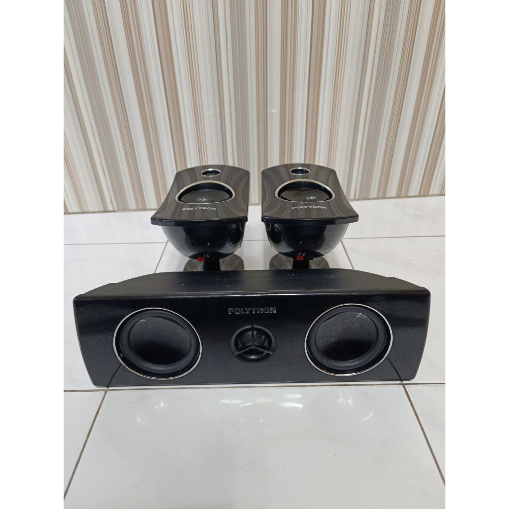 speaker pasih polytron ex big band 5510