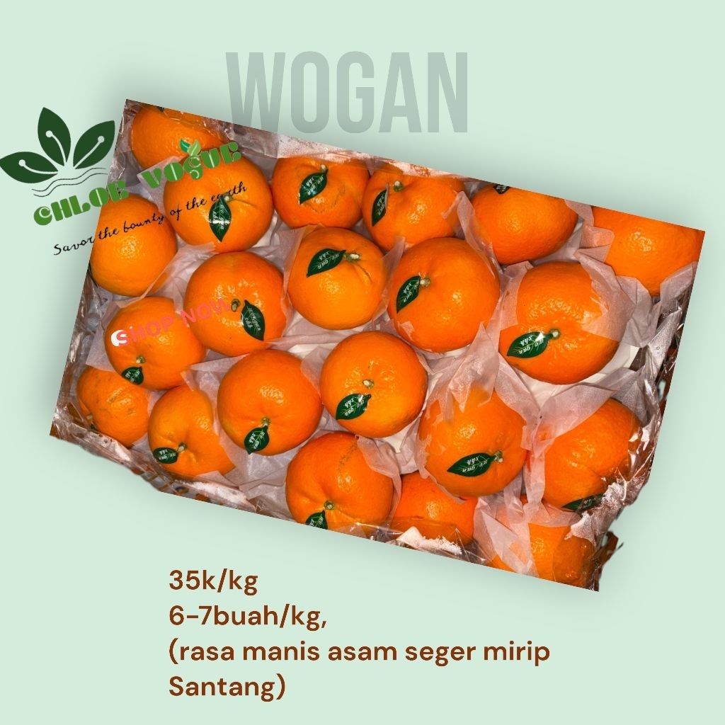 Wogan orange