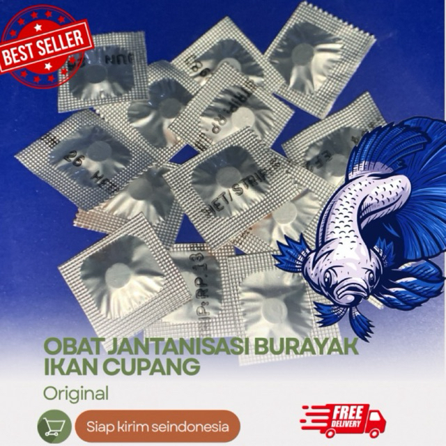 Obat Jantanisasi Burayak Ikan Cupang