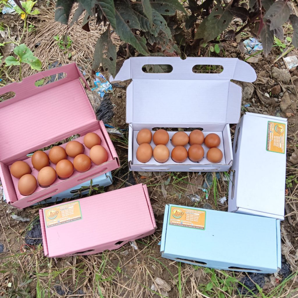 Telur ayam negri isi 10biji fresh dari kandang peternak