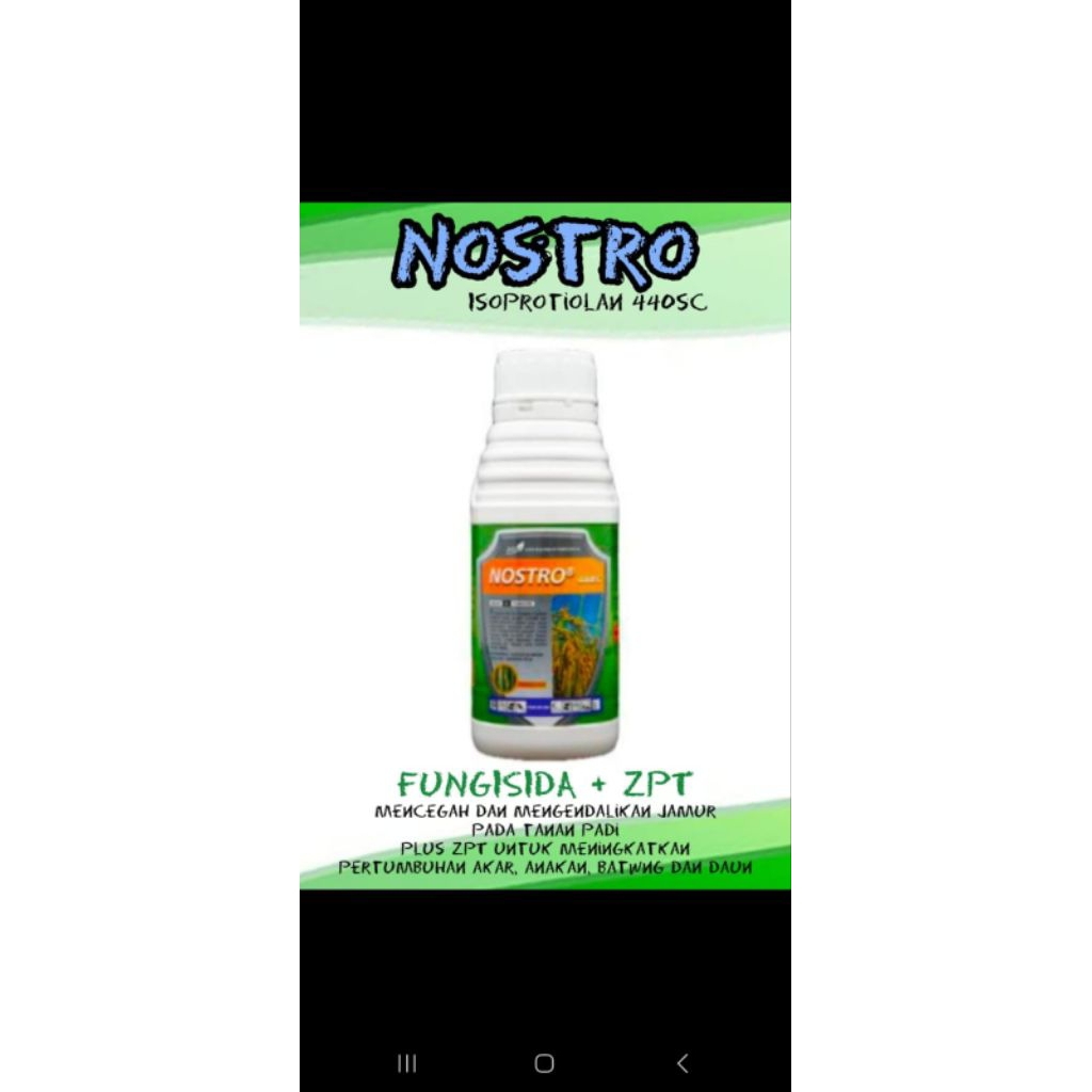 Nostro 440sc fungisida sistemik+ZPT