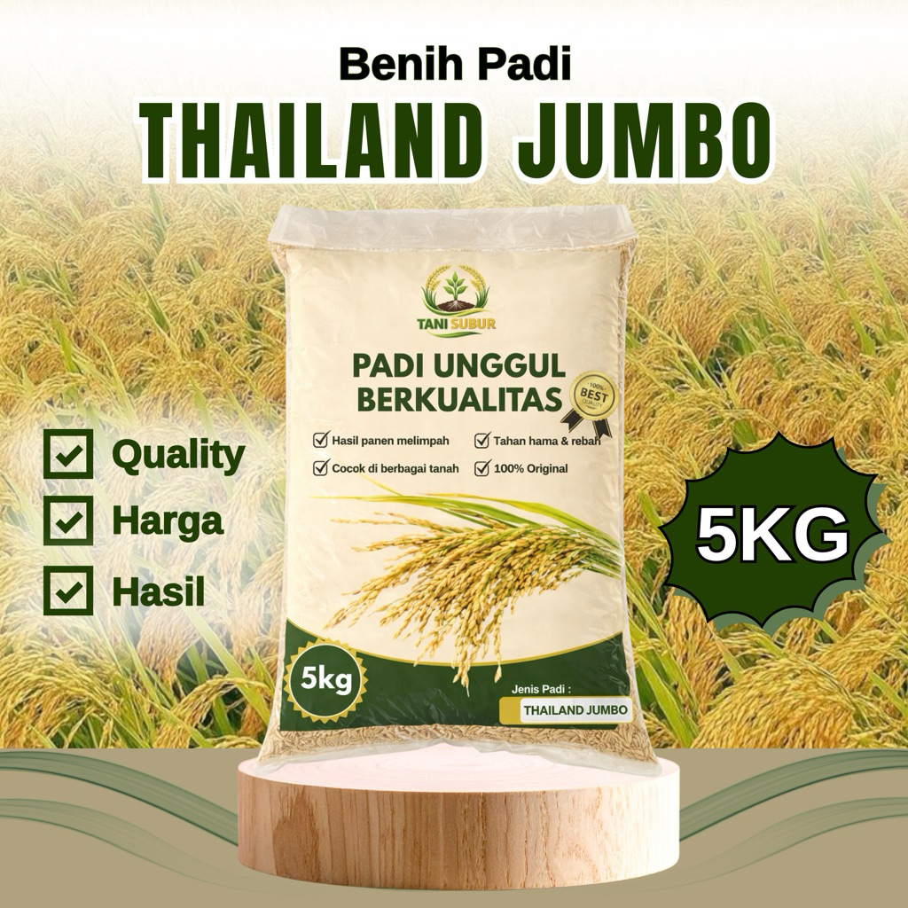 Benih padi unggul THAILAND JUMBO benih padi berkualitas 5 kg