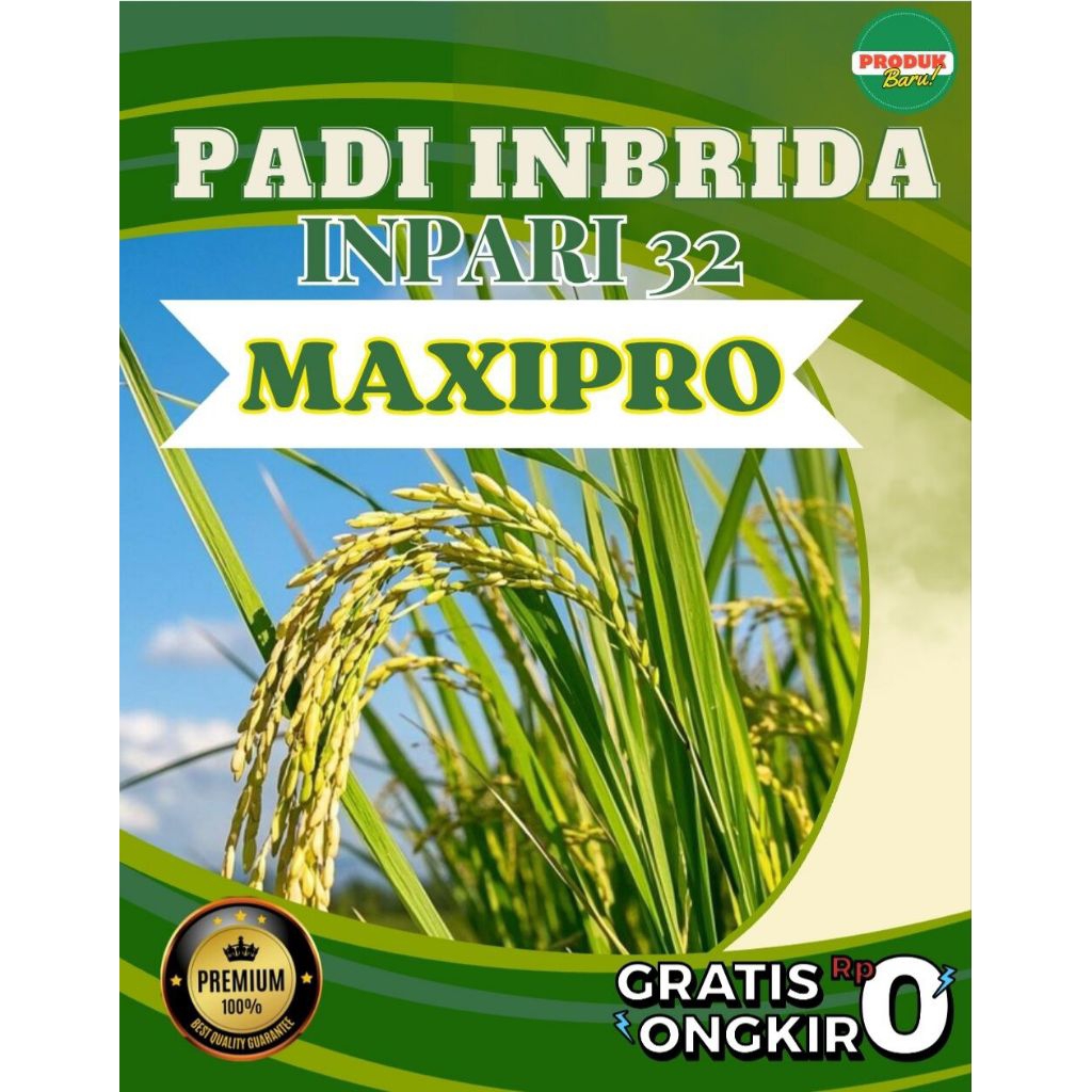 Benih padi Inpari 32 MAXIPRO label ungu 5 kg