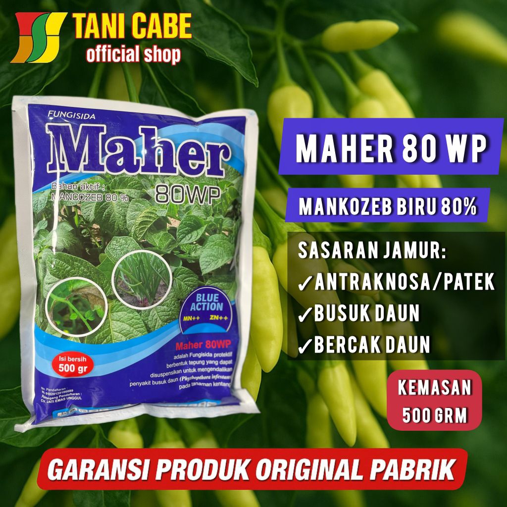 Fungisida Maher biru 500 GRM mankozeb atasi Patek dan bercak daun