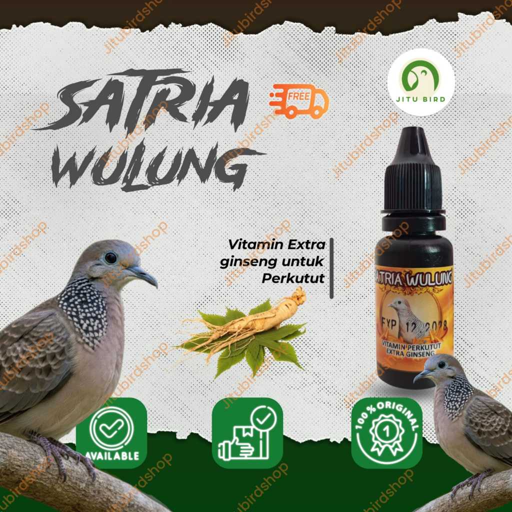 Satria Wulung Ginseng Pro Vitamin Perkutut – Jamu Herbal 3 Tetes Pendukung Manggung, Gacor, Tembak D
