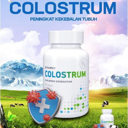 Bovine Colostrum untuk Kesehatan Imun COLOSTRUM Synergy