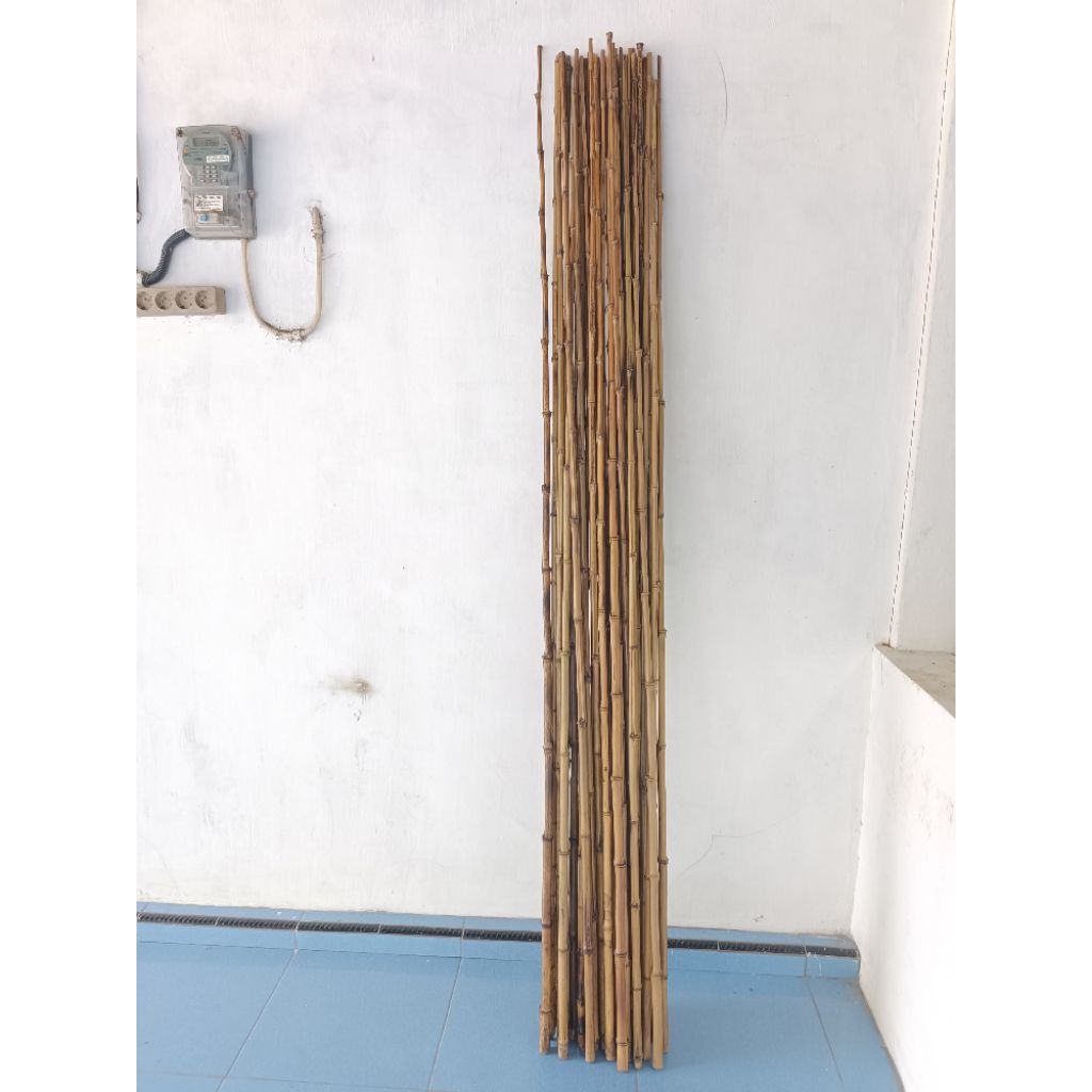 BAMBU CENDANI LURUS STIK LURUS OPEN BERSIH/HIASAN/PARTISI/AESTHETIC/ISIAN VAS/DEKORASI 2M