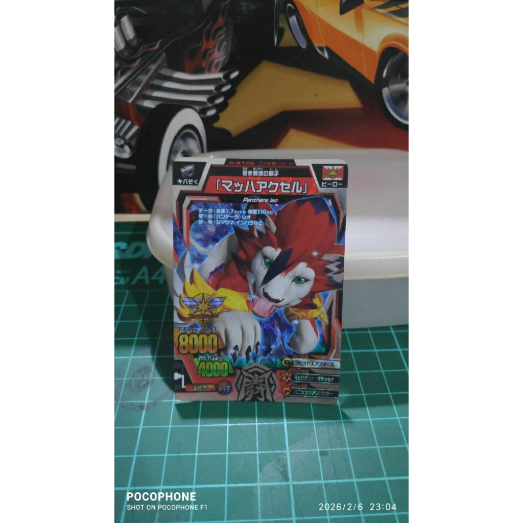 kartu animal kaiser silver mach axel japan