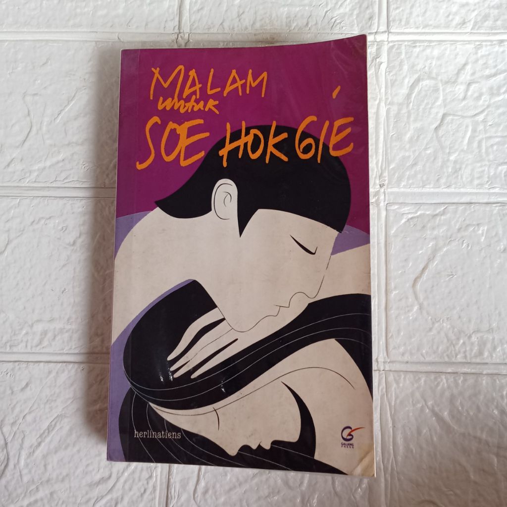 NOVEL BEKAS ORI 100% - MALAM SOE HOK GIE