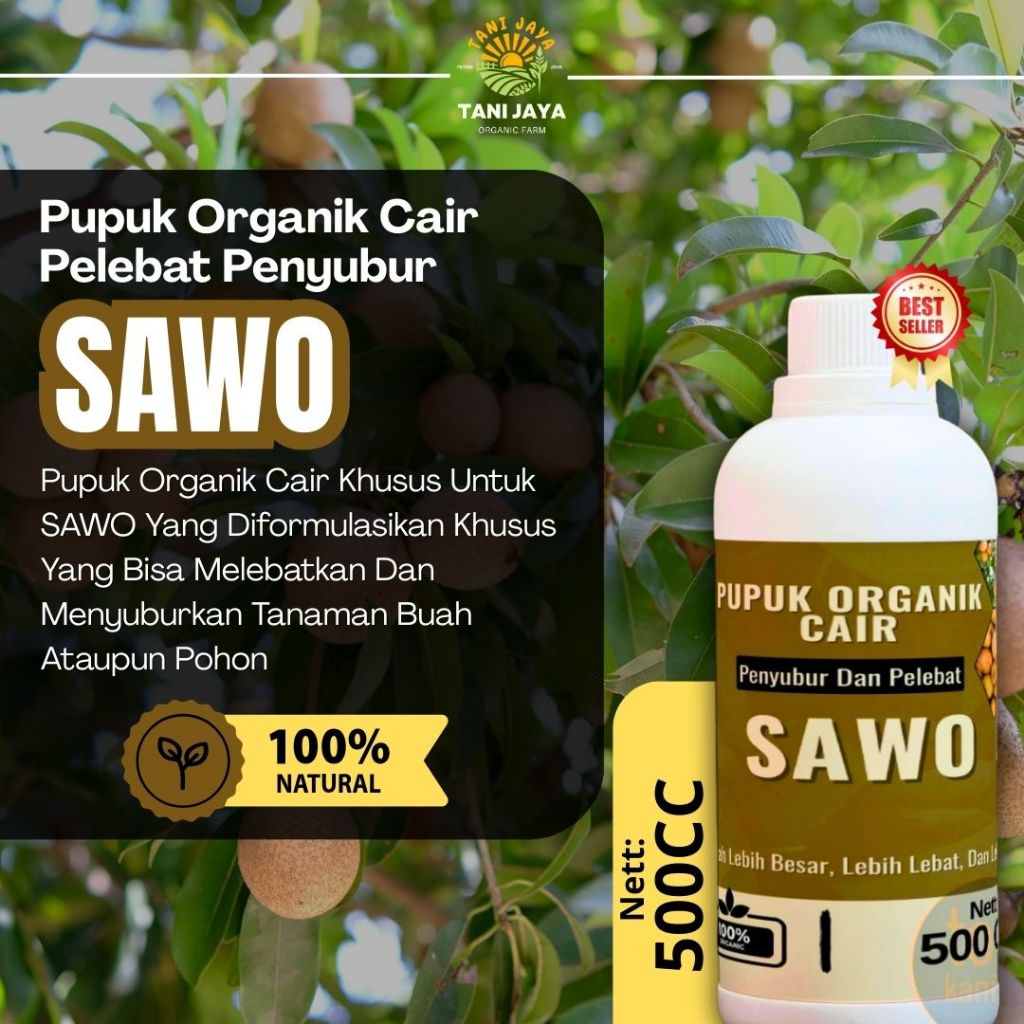 Pupuk Perangsang Buah Sawo Nutrisi Bunga dan Buah Anti Rontok Booster Pelebat Pupuk Pelebat Sawo