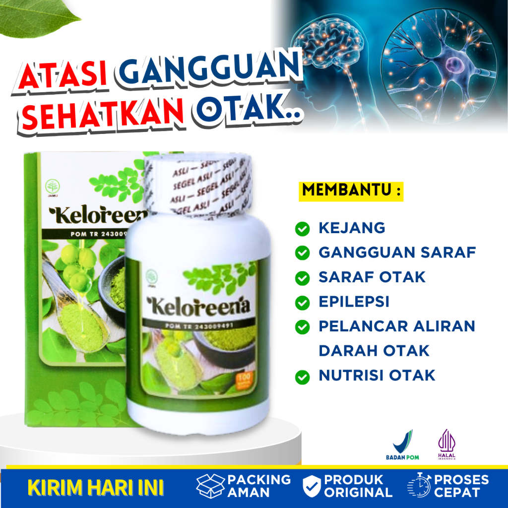 Obat Kejang Kapsul Herbal Gangguan Saraf Otak Epilepsi Pelancar Aliran Darah Otak Nutrisi Otak