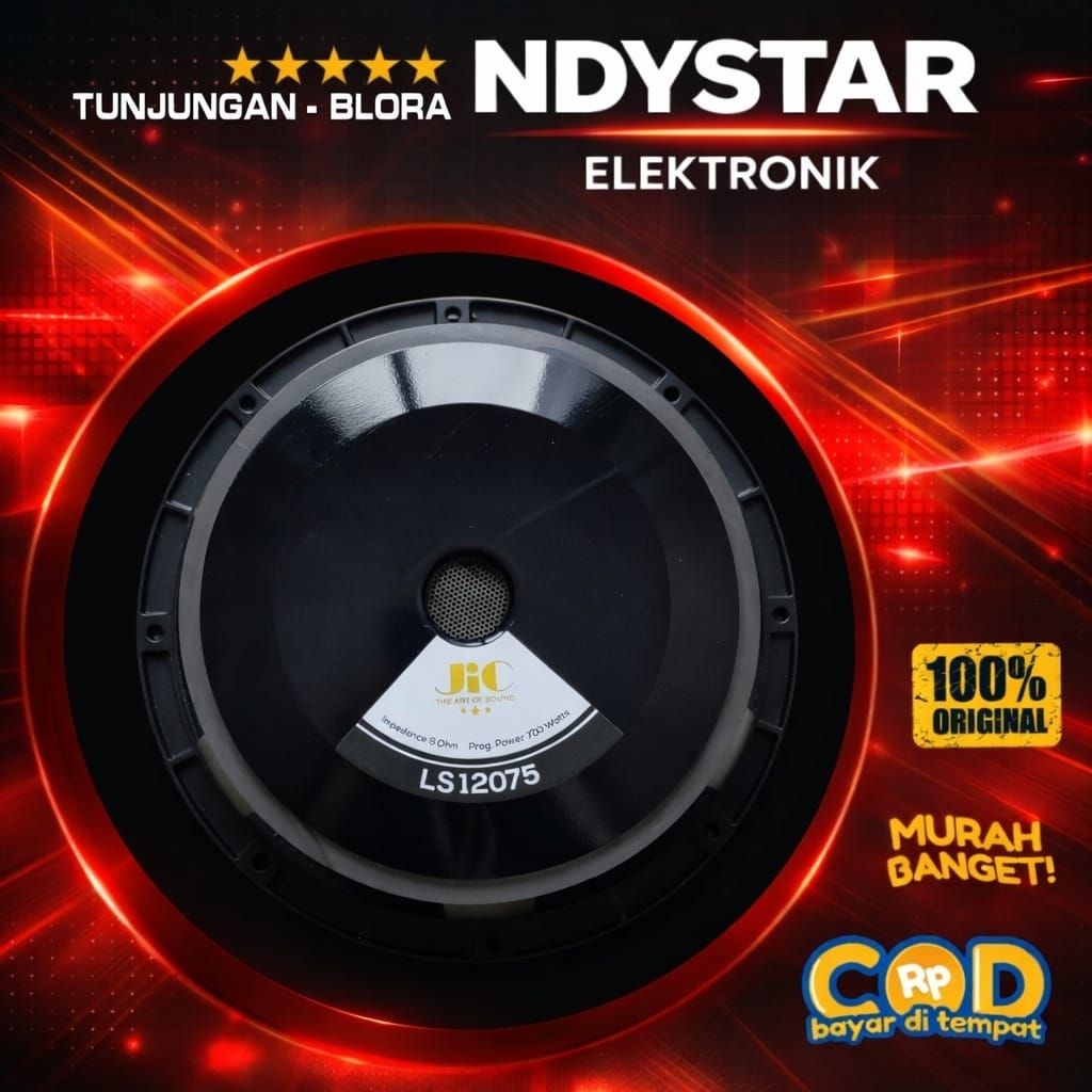 SPEAKER JIC LS 12075 - 12 INCH