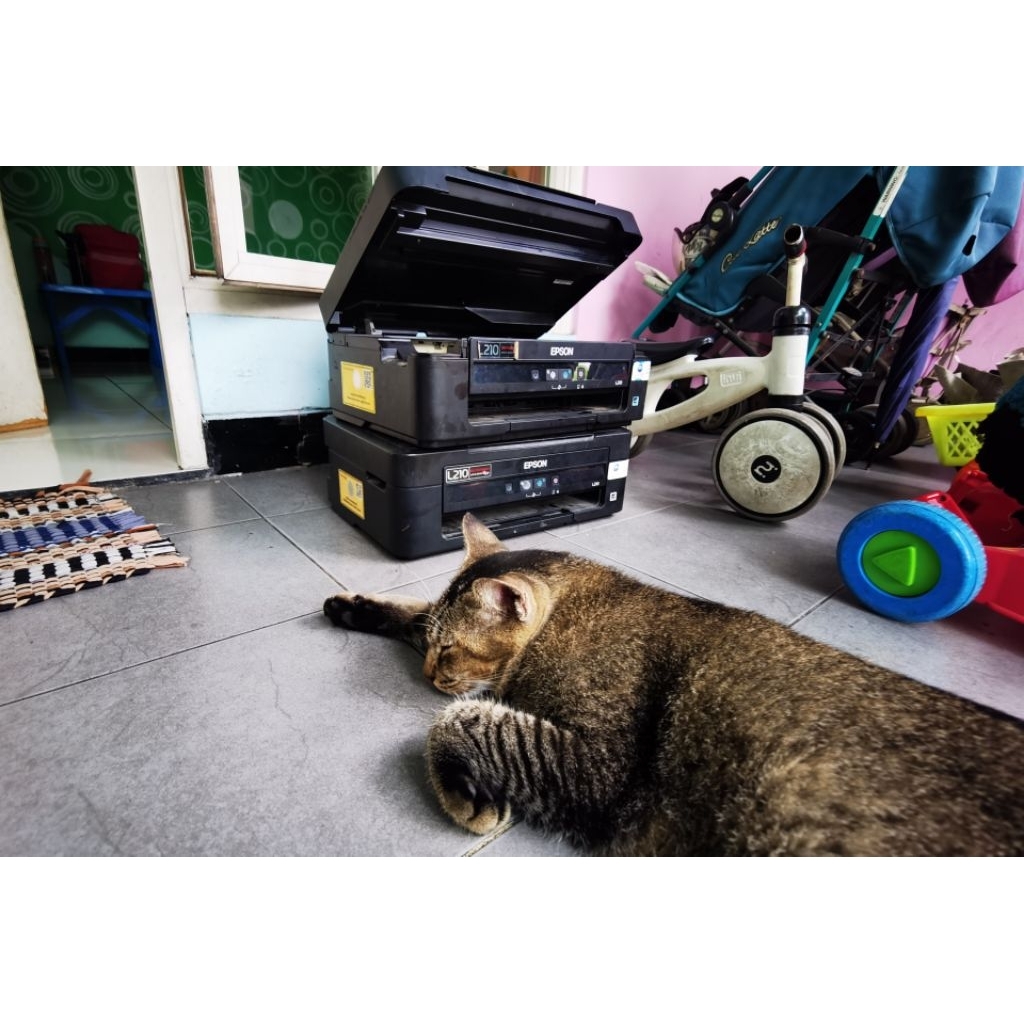 printer Epson bisa scan fotocopy bekas eks Kantor