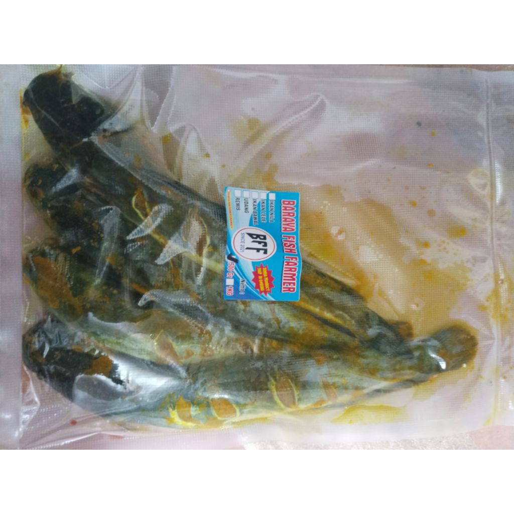 Ikan Lele Bumbu Kuning Siap Masak - 1 Kilogram