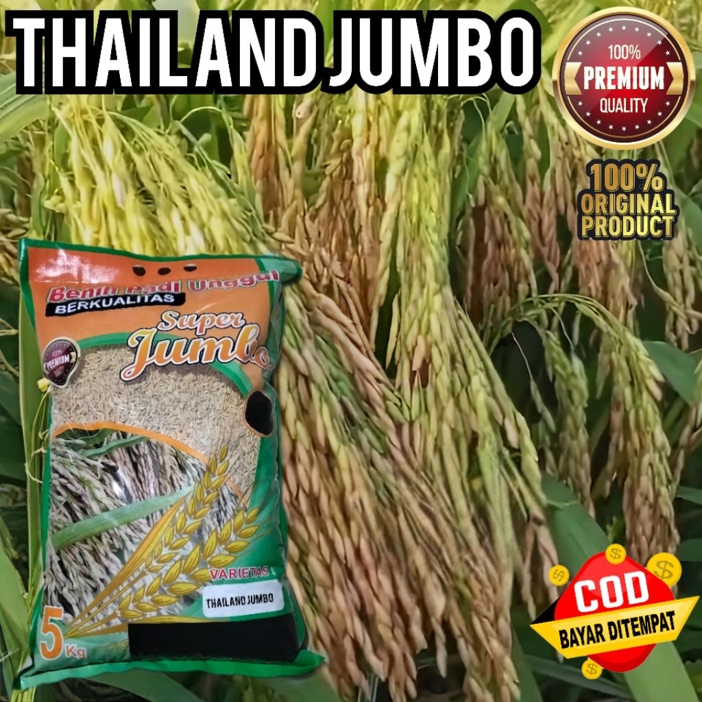 Benih Padi Unggul Thailand Jumbo Berkualitas Bulir Besar Nasi Pulen 5kg