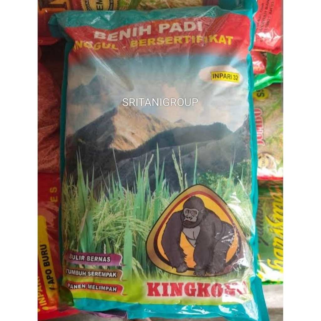 Benih Padi Inpari 32 Kingkong 5kg