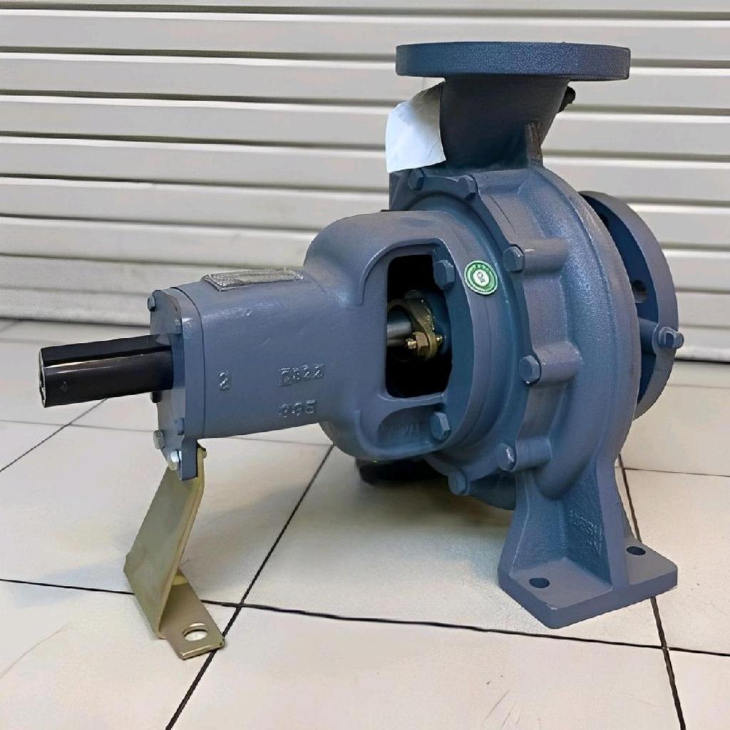 Pompa Ebara 100x80 FSJA Mechanical Seal Centeifugal Pump