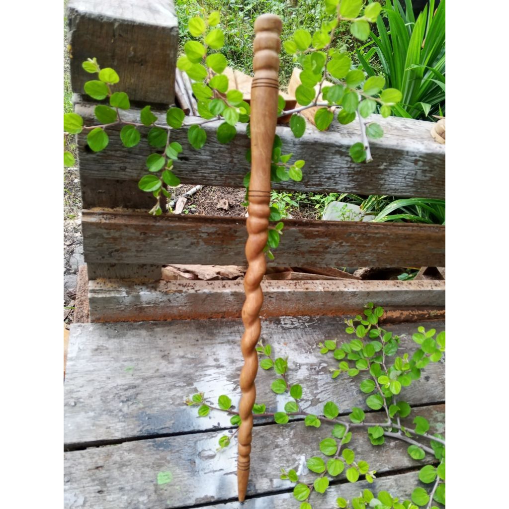 tongkat komando Bidara sidr