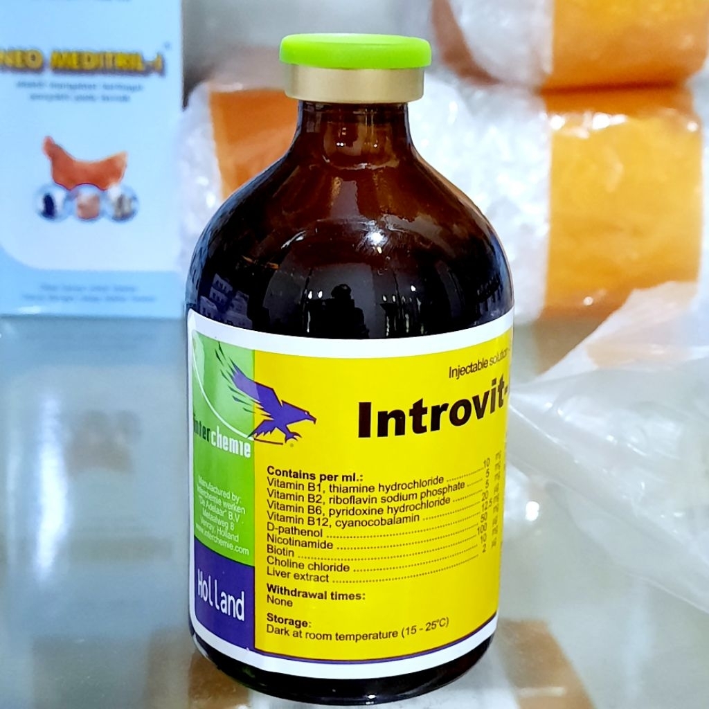 INTROVIT B COMPLEX 100 ml injeksi vitamin b kompleks hewan