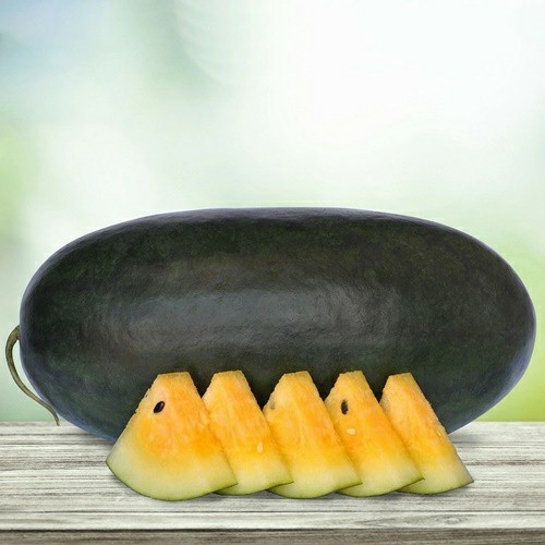 2 Biji Benih Semangka BIG MADURI F1