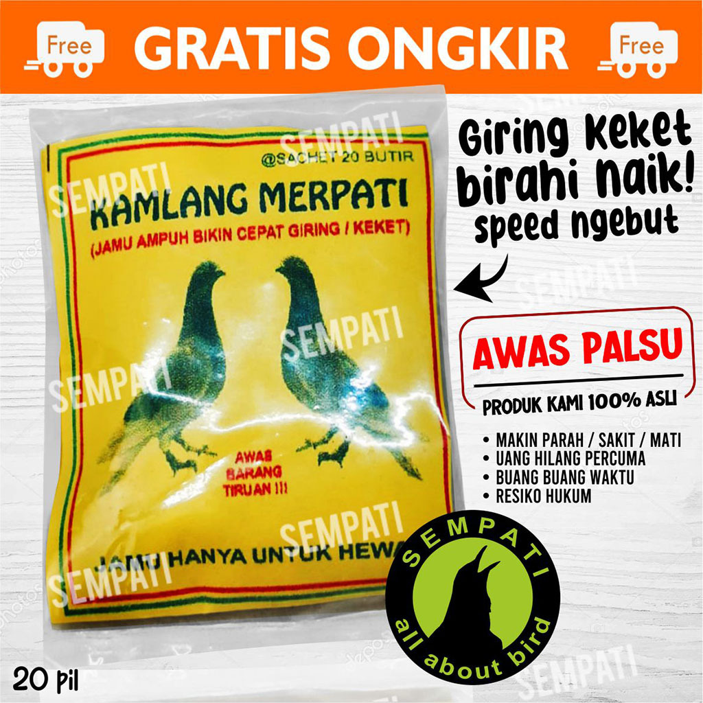 SEMPATI KAMLANG MERPATI JAMU CEPAT GIRING BURUNG MERPATI BALAP OBAT JAMU CEPAT KEKET MERPATI KOLONGA