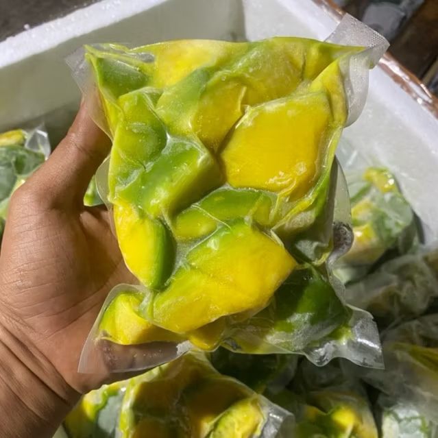 Alpukat Frozen Berkualitas Alpukat Mentega untuk jus smoothies toping es teler viral