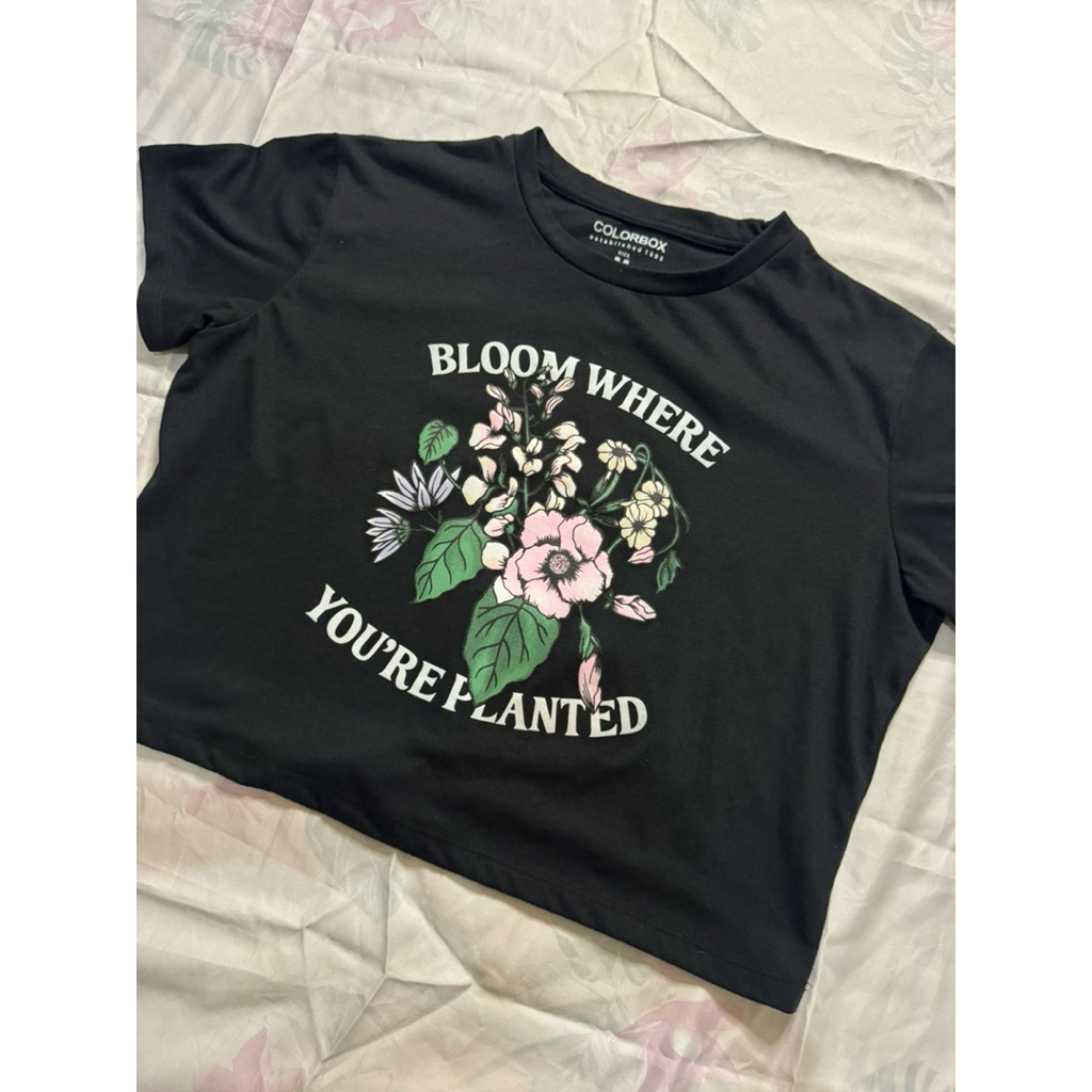 Preloved Top Colorbox New