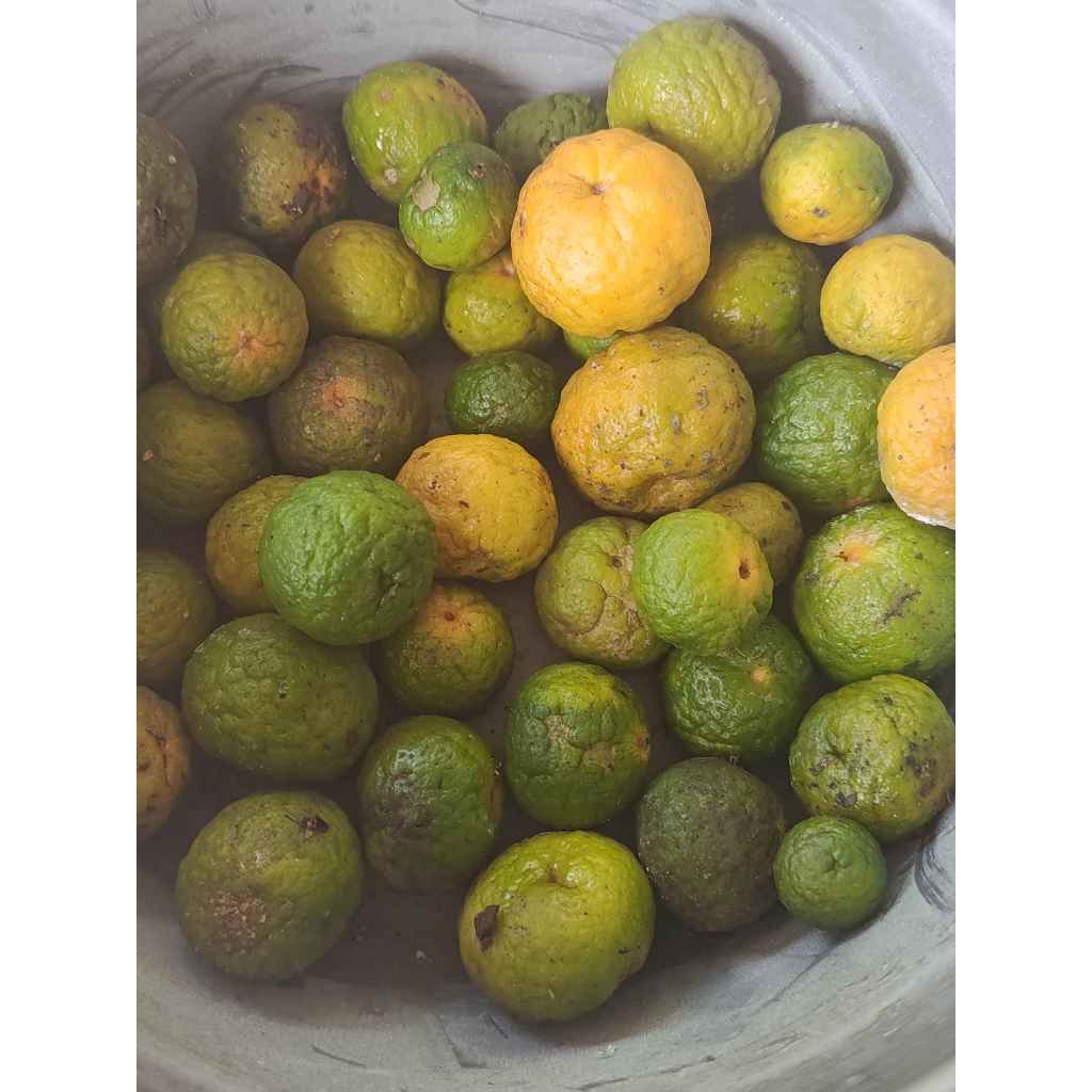 jeruk limau jeruk sambal