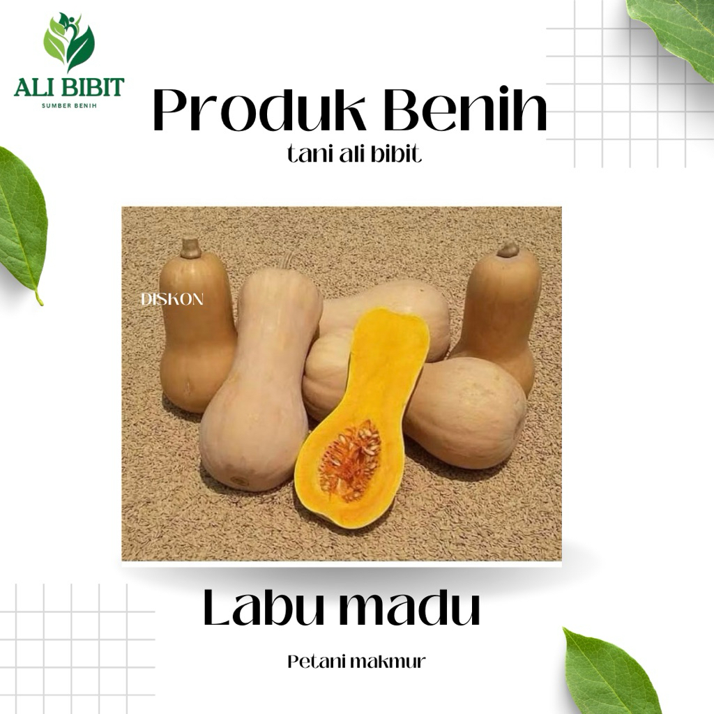 5 Butir> Benih Biji Labu Madu> Labu Madu >Bonus Benih