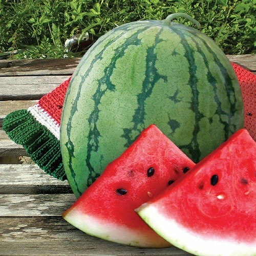 2 Biji Benih Semangka MADE F1