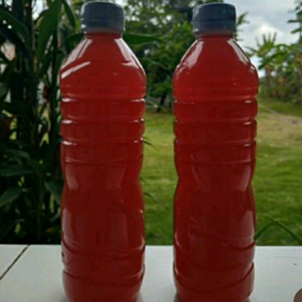 PSB Fotosintesis 600 ml