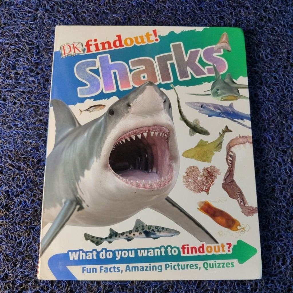 DK findout Sharks