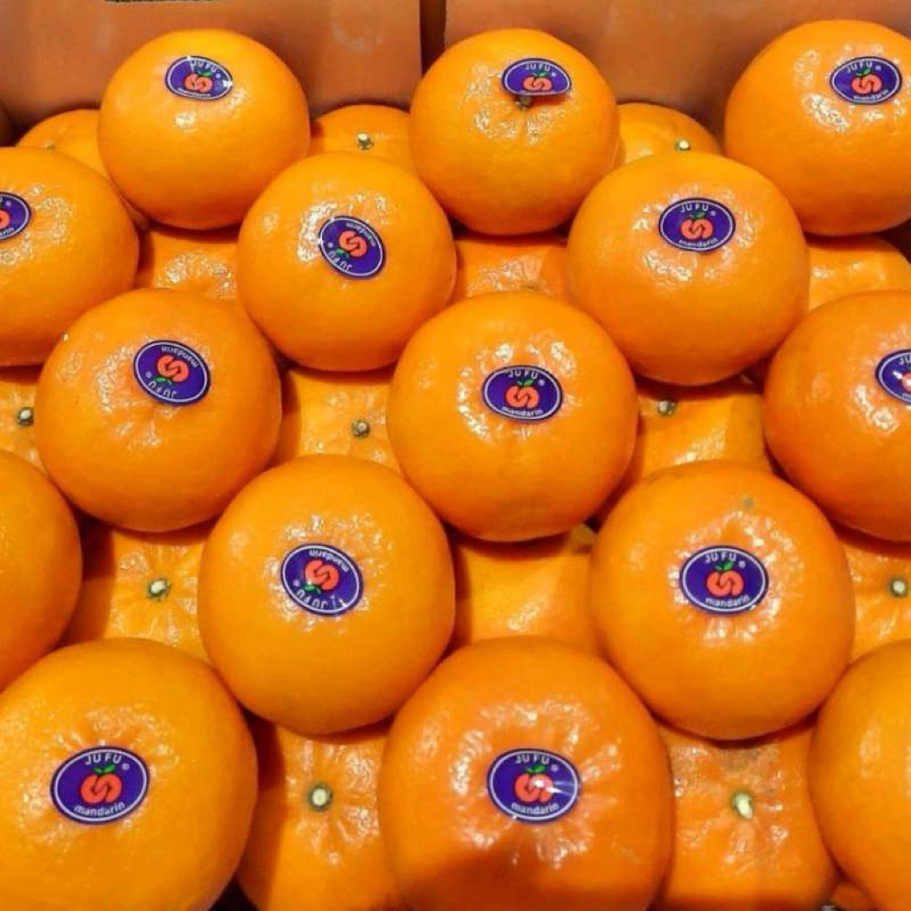 Buah Jeruk Wogan / Wokam Mandarin Manis & Segar - Pasar Makassar