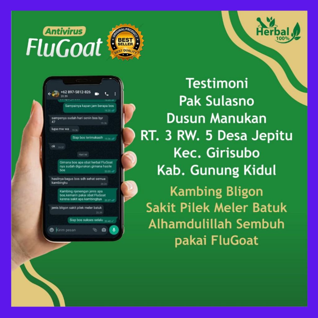 TERLARIS  Flugoat Obat Flu Kambing, Flugoat Obat Flu Kambing, Flugoat Obat Flu Kambing