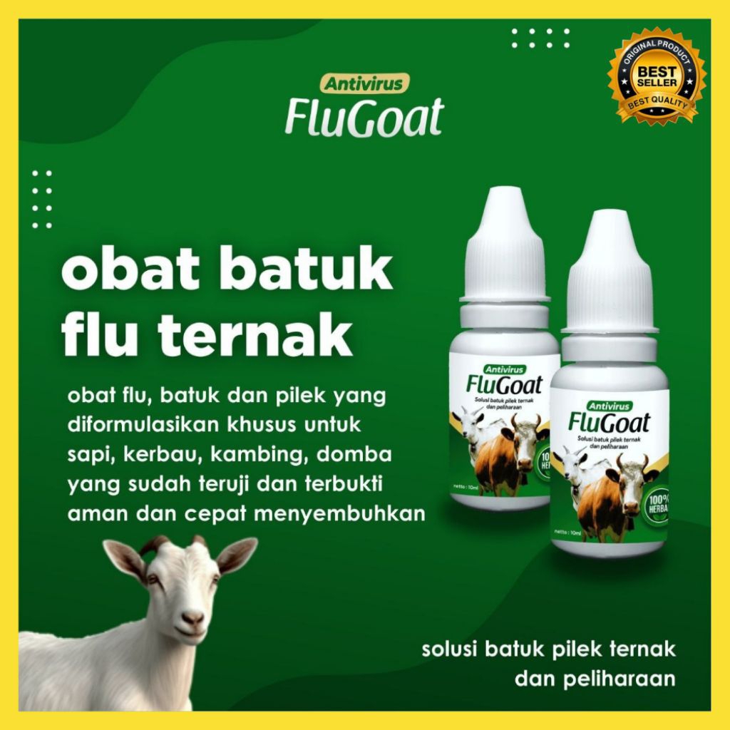 DIJAMIN AMPUH  Obat Kambing Flu Pilek, Obat Kambing Flu Paling Ampuh, Obat Kambing Flu Alami