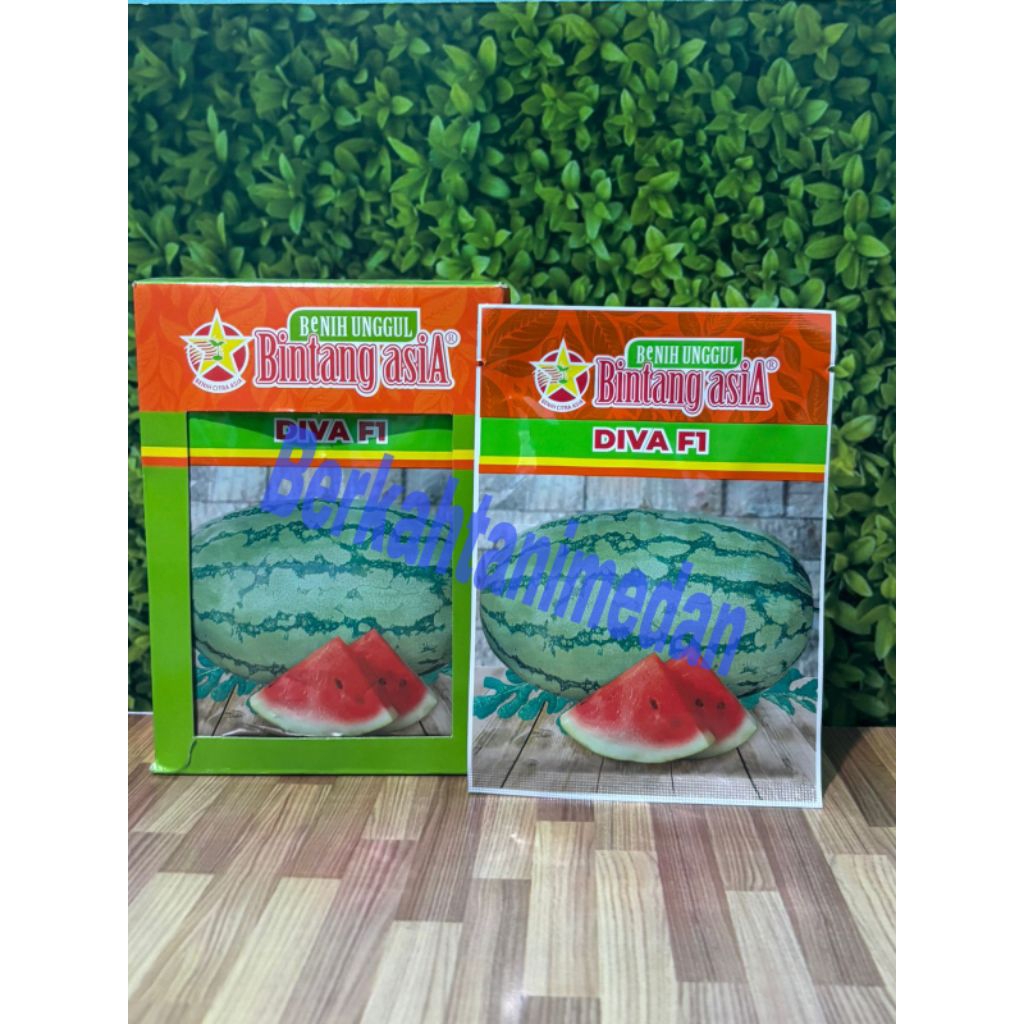 Benih Semangka Merah DIVA F1 Bintang Asia isi 20 gr ( Bibit Semangka Lonjong Manis Besar)