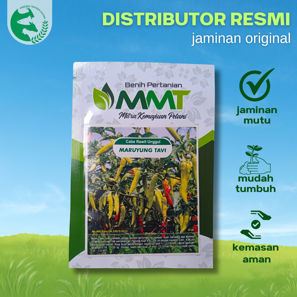 Benih Cabe Rawit Maruyung Tavi 10 Gram 2000an Biji Cabai Unggul Asli MMT Lebat Tahan Penyakit