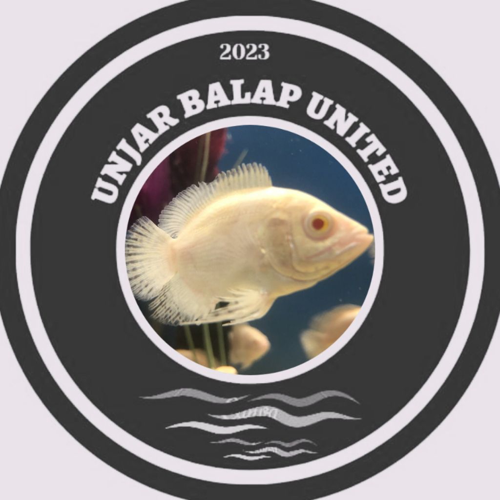 3pcs oscar albino 5-6cm accessories aquarium