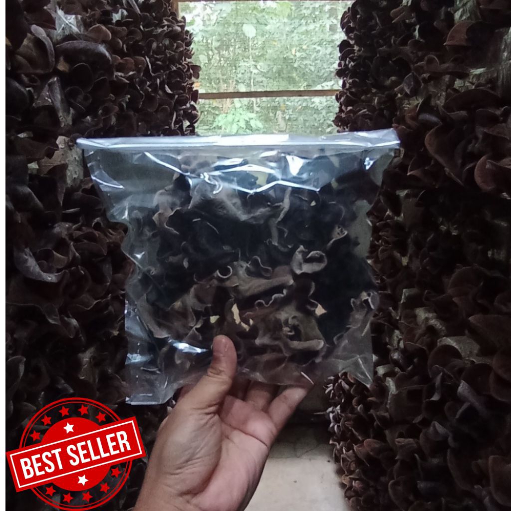 Jamur Kuping Kering Grade Super 100gr / Jamur kuping Grade A / Jamur kuping kering langsung dari pet