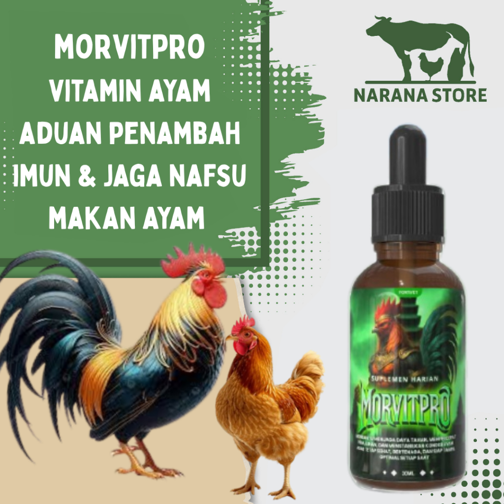 MORVIT PRO Vitamin Ayam Penambah Stamina