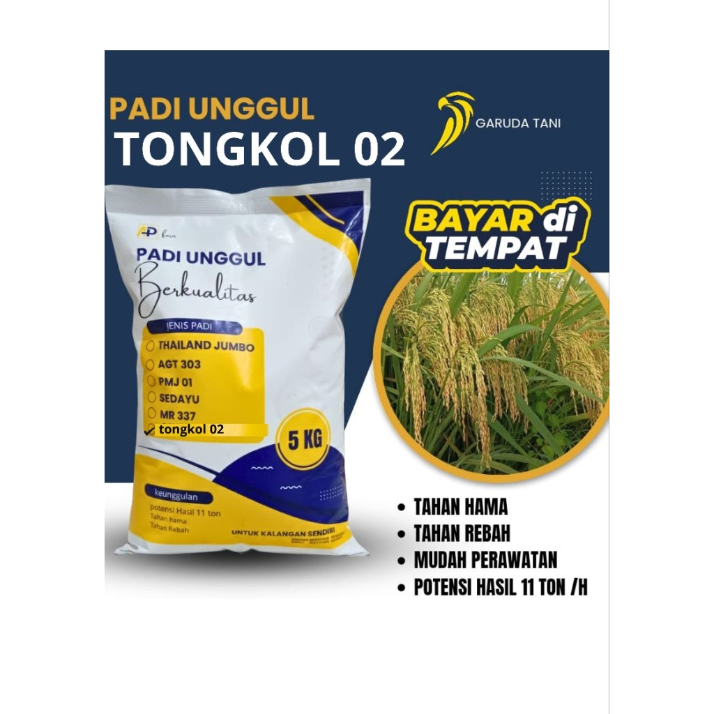 [TERBARU] Benih Padi TONGKOL 02 Super Unggul - Bibit Padi Galur 5kgBenih Padi TONGKOL 02 Seleksi - M