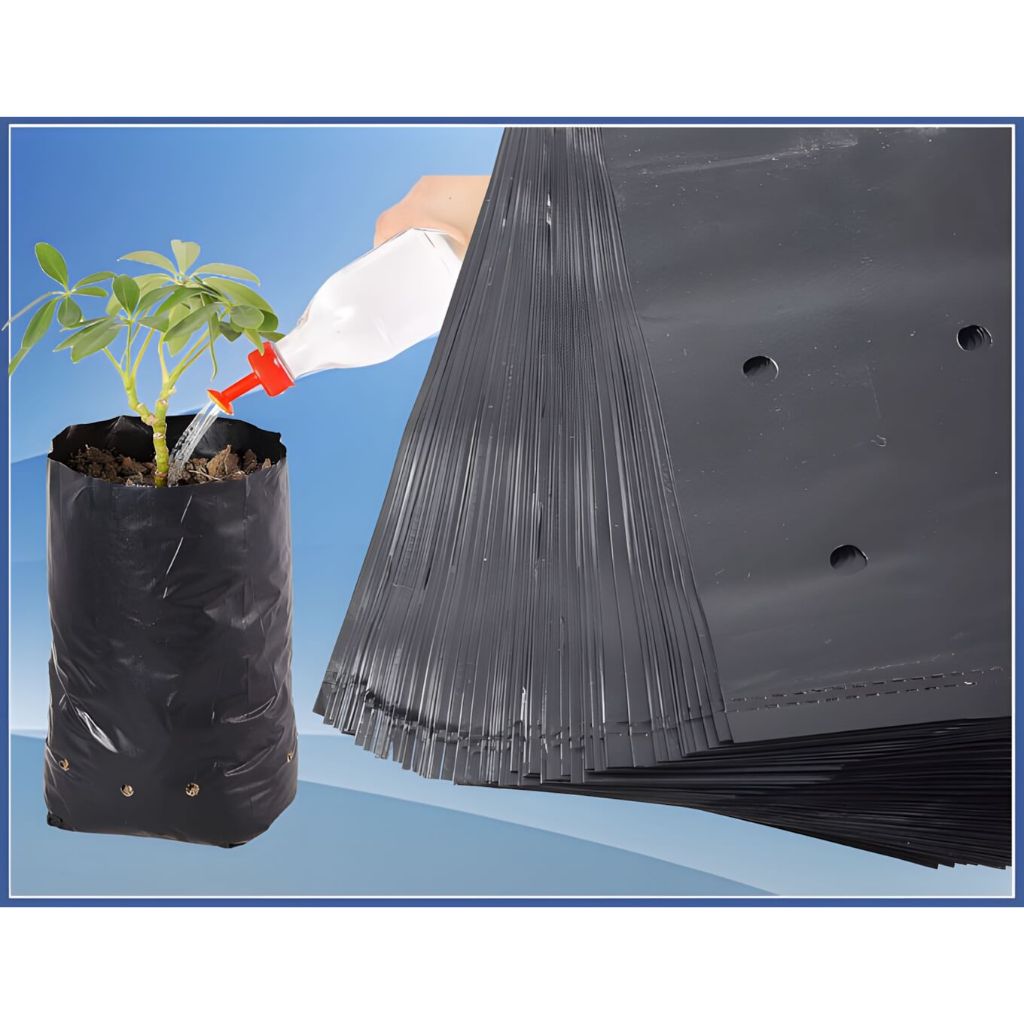 TANAMAN SUPER - POLYBAG TANAMAN UKURAN SEDANG BESAR