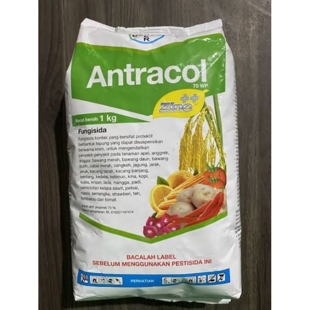 Fungisida Antracol 1kg
