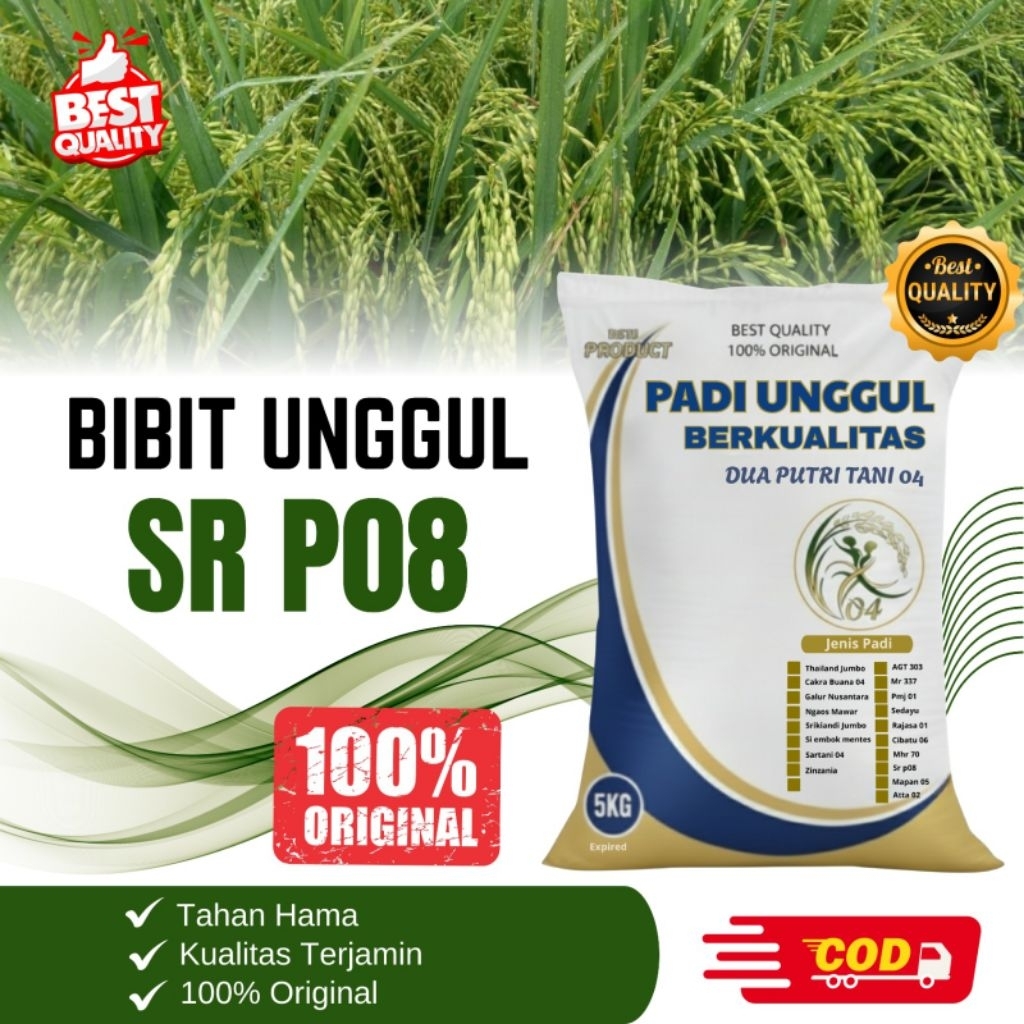 BIBIT PADI SR P 08 paling unggul kemasan 5kg