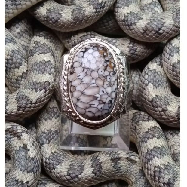 Batu Jipen Sisik Ular