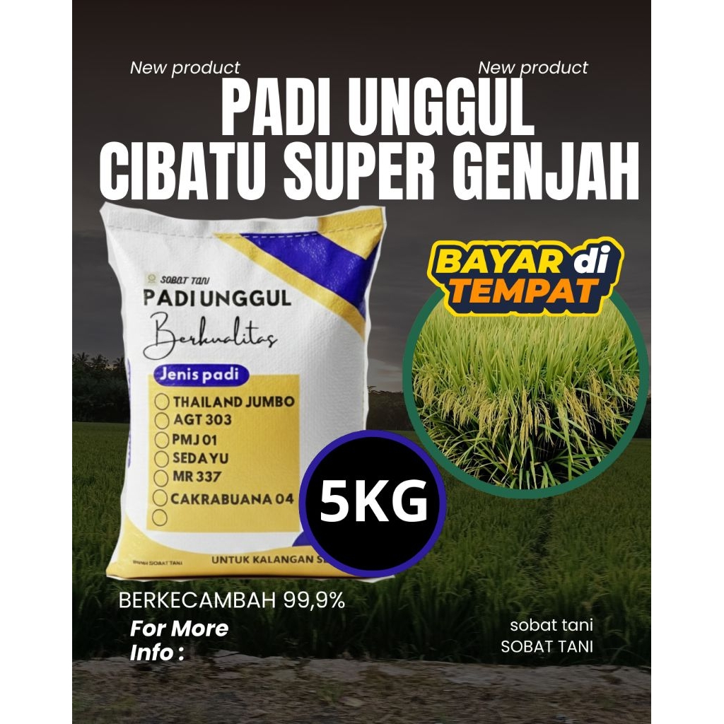 Benih Padi Unggul CIBATU SUPER GENJAH 5KG - Bibit Padi Berkualitas Cepat Panen Original Sobat Tani B